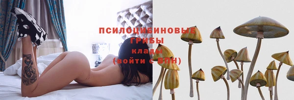 экстази Алексин